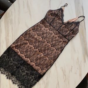 Lace Cocktail Dress